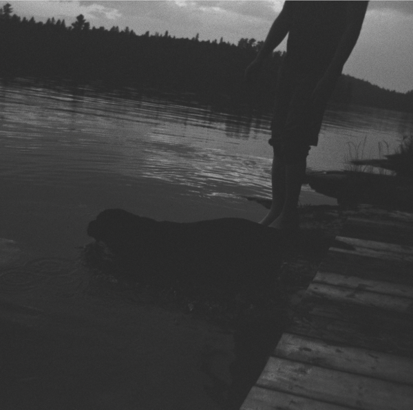 Ken Yates - "A Perfect Dive"